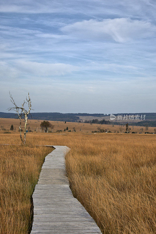 Hautes Fagnes 和 Baraque Michel